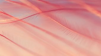 Global Financial Markets Regulatory Review - May 2026 Edition