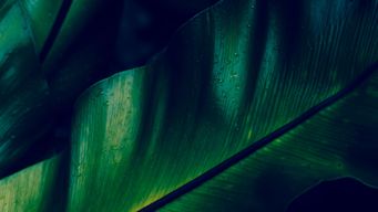 It’s Alive! The CFTC Breathes New Life into QEP Exemption