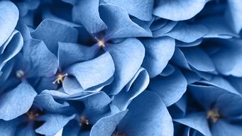 Is Generative A.I. Practicing Law?