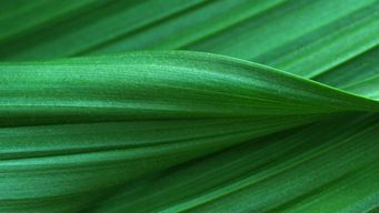 The FCA Impact of Near-Unfettered Access to Medicaid Claims Data - Dentons On Call