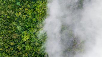 IRS Releases Guidance on Emissions Rate Determinations Under IRC Section 45Z