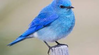 Claims firm banned from citing Martin Lewis endorsement 2.