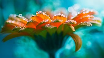 The FCA's new rules for non-financial misconduct: top ten takeaways