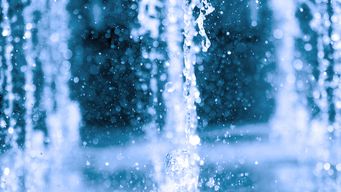 Longevity Series: Dipping Our Toes in the Fountain of Youth: An Introduction into Longevity Research