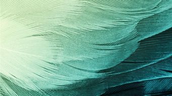 The Consumer Duty and the fight over the regulatory philosophy governing UK financial services