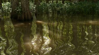 EPA and Army Corps Issue Supplemental WOTUS Proposal: How It Could Affect Your Projects