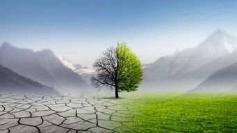 New York Climate Superfund Rulings Put Vermont Law in Focus