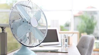 If you can't stand the heat ... practical employment tips for heatwaves