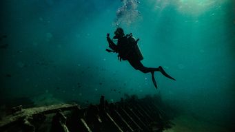 Diving into the complexities: inside a high stakes offshore claim