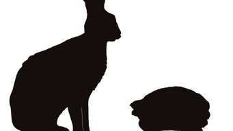 Streamlining the Studies: New FDA Draft Guidance Aims to Speed Up Biosimilar Development