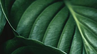 The macroeconomic backdrop to the private capital market - June 2025