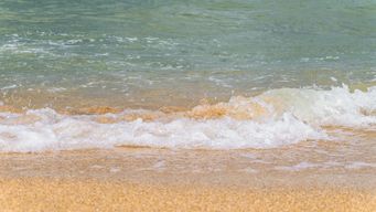 Holding back the tide? UK MAR and EU MAR to remain aligned, for the while