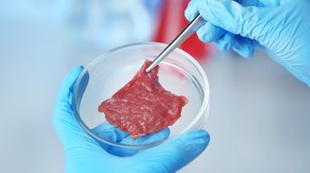 Financing Headwinds and the Future of Cell Cultivated Meat