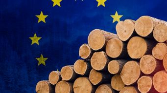 EU Deforestation Regulation Update – a Commission Report, New FAQs and Guidance, a Proposed Delegated Act and Other Developments