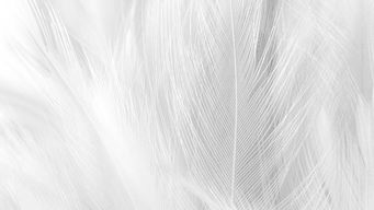 Georgia Election Takeaways — November 2025