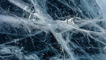 US Supreme Court Strikes Down US Administration’s Imposition of Tariffs Under IEEPA