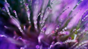 Dentons Expands Infrastructure Focus with Renaming of Smart Cities & Connected Communities Think Tank