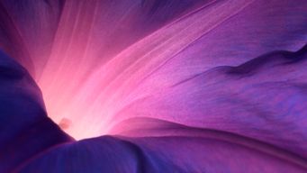 Dentons Secures Dismissal of False Claims Act Case Concerning Affordable Care Act Premium Rates