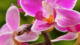 FTC announces Healthcare Task Force, further increasing scrutiny and enforcement in healthcare markets