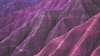 Protecting the Single Market: vertical restraints back in focus