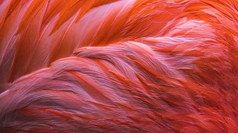 Competing for talent: what employers need to know