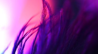 The Investment Association’s letter to Remuneration Committee Chairs