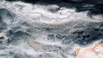 Beneficial ownership registers: summer 2025 updates