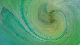 Co-living: opportunity within complex regulatory landscape