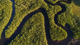 Decarbonisation Station – 2026 horizon scan with Satarla’s George Brown