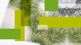 Parliament Adopts Negotiating Position on Omnibus Amendments to CSRD and CSDDD