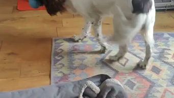 In-house lawyers say whistleblowing guidance is 'unworkable'