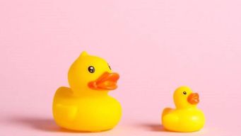 Austrian Government Prepares Bill Against “Shrinkflation”