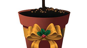 On the First Day of Christmas 2022...