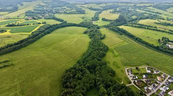 New environmental delivery guidance: what developers need to know about BNG for NSIPs and the Nature Restoration Fund