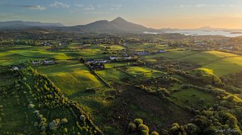Ireland Advances Supply Chain Due Diligence Legislation