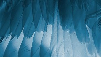 The SEC’s Division of Examinations Announces 2026 Priorities