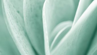 SEC Issues Landmark Guidance on Crypto Asset Regulation