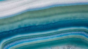 Dentons Capitol Insights: Georgia Edition – February 2026