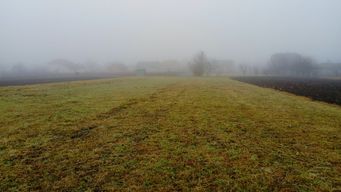 Solicitor convicted of stalking court observer