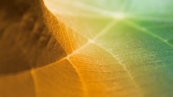 The growth of asset-based finance in private credit markets