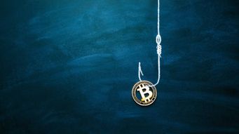 Crypto hacking: The balance of sophistication between users and bad actors keeps risk riding high throughout the crypto ecosystem