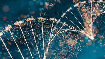 Life sciences and personal data: adapting to the UK’s updated data protection framework
