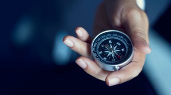 Shareholder value creation in Japanese pharmaceuticals