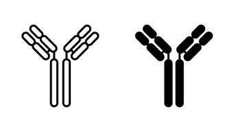 FDA Guidance on Biosimilars Highlights Glycosylation Profiling and Increases the Strategic Value of Patents Covering Antibodies Defined by Glycosylation
