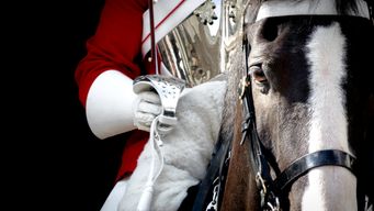 O’Connell v MOD: an expert’s approach to evidence and honesty