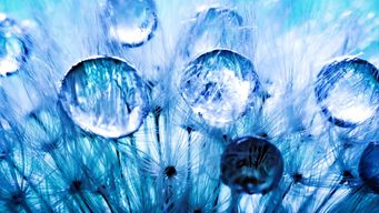 Key Section 101 Insights for In-House Counsel from USPTO ARP Decision in Ex parte Desjardins