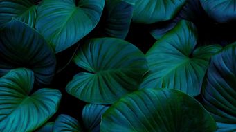 How Lawyers Can Stay on the Right Side of Litigation Immunity