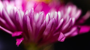 DOJ files antitrust suit against New York hospital over contract restrictions