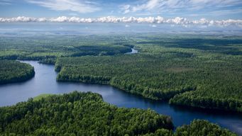 A Narrowing Path to Institution