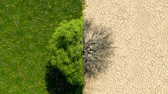 Katten Duo Supports Exelon's Climate Change Investment Initiative for Seventh Consecutive Year